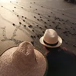 El Almejal