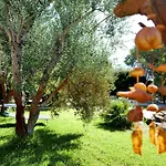 Missipezza Residence A Frassanito