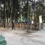 B&B Ulivi