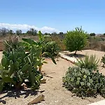 Villa La Palmerale
