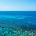Essenza Del Mare By Vivimy