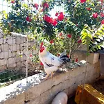 Vacanza Relax In Antica Dimora Salentina