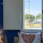 Panoramic Terrace Apartment Porto Cesareo