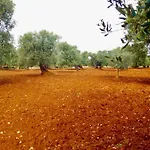 Diddy'S Country - Abbasciu