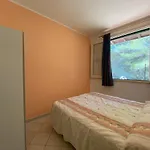 Padula Bianca - Villa Con Accesso Privato Per La Spiaggia