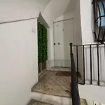 White Dome Retriet