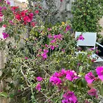 Suite Battisti 7