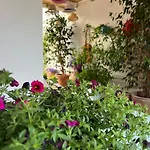 Suite Battisti 7
