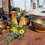 Trulli Vayu