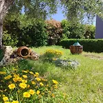 B&B L'Ulivo