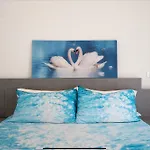 Suite Chiara Cigno