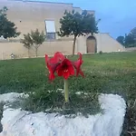 Masseria Gelsi