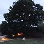 Trulli La Quercia Del Nonno