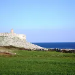 Masseria Delle Rose 1760