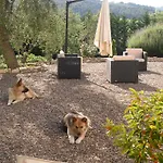 Poggio Di Luna Adults Only
