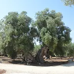 Agriturismo Masseria San Leonardo