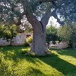 Il Giardino Degli Ulivi