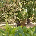 Villa Vanessa