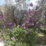 Masseria Costanza