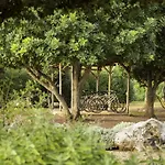 Masseria Don Cirillo