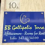 Bb Gallipolis Terra