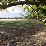 Agrimat Salento