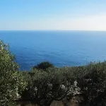 Foresta Forte - Ciolo By Lovesud