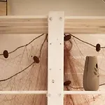 La Casa Dei Venti