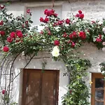 Domaine Des Anges