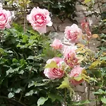 Domaine Des Anges