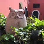 Donnenzo