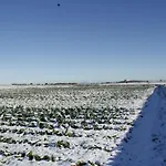 Masseria Citulo Il Pino Grande