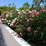 Villa Delle Bougainvillee