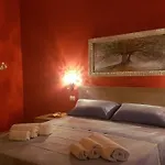 B&B Tanieli