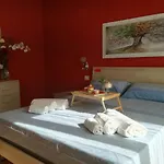 B&B Tanieli