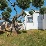 Villa Specchia By Barbarhouse