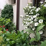 B&B Nel Centro Storico