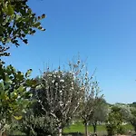 Trullo With 3 Bedrooms In Ceglie Messapica, With Private Pool, Enclose