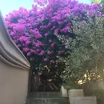 B&B La Bougainvillea