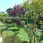 Villa Palmisani