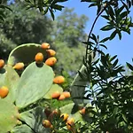 Casa Gorgole