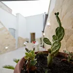 Casa Bova
