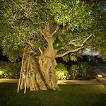 Villa Mara