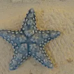 Dimora Petra