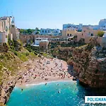 Sanvito 12