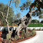 Villa Sissi