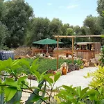 Casetta Primavera Un Oasi Di Relax Fra Gli Ulivi