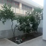 El Patio Bitonto