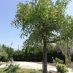 Salento Country House