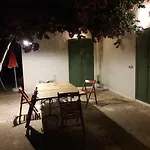 Fra Il Glicine E Il Sambuco